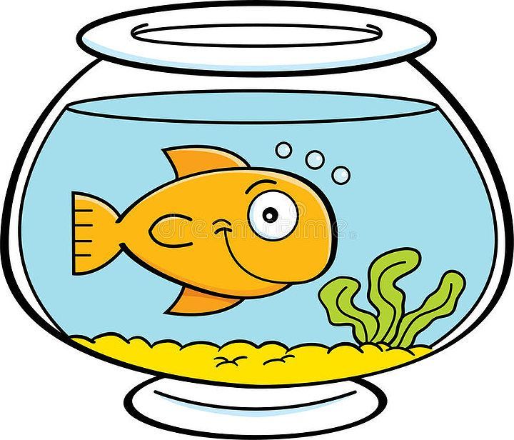魚缸圖片卡通圖片(卡通魚缸圖片資源) 魚缸百科 第2張 魚缸圖片卡通圖片(卡通魚缸圖片資源) 魚缸圖片卡通圖片(卡通魚缸圖片資源) 魚缸百科 第2張