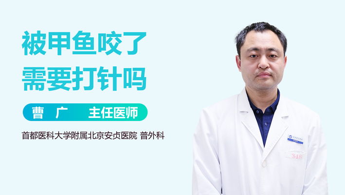 最新手機壁紙高清圖片，讓你的屏幕煥然一新，高清手機壁紙精選，一鍵煥新你的屏幕視覺體驗