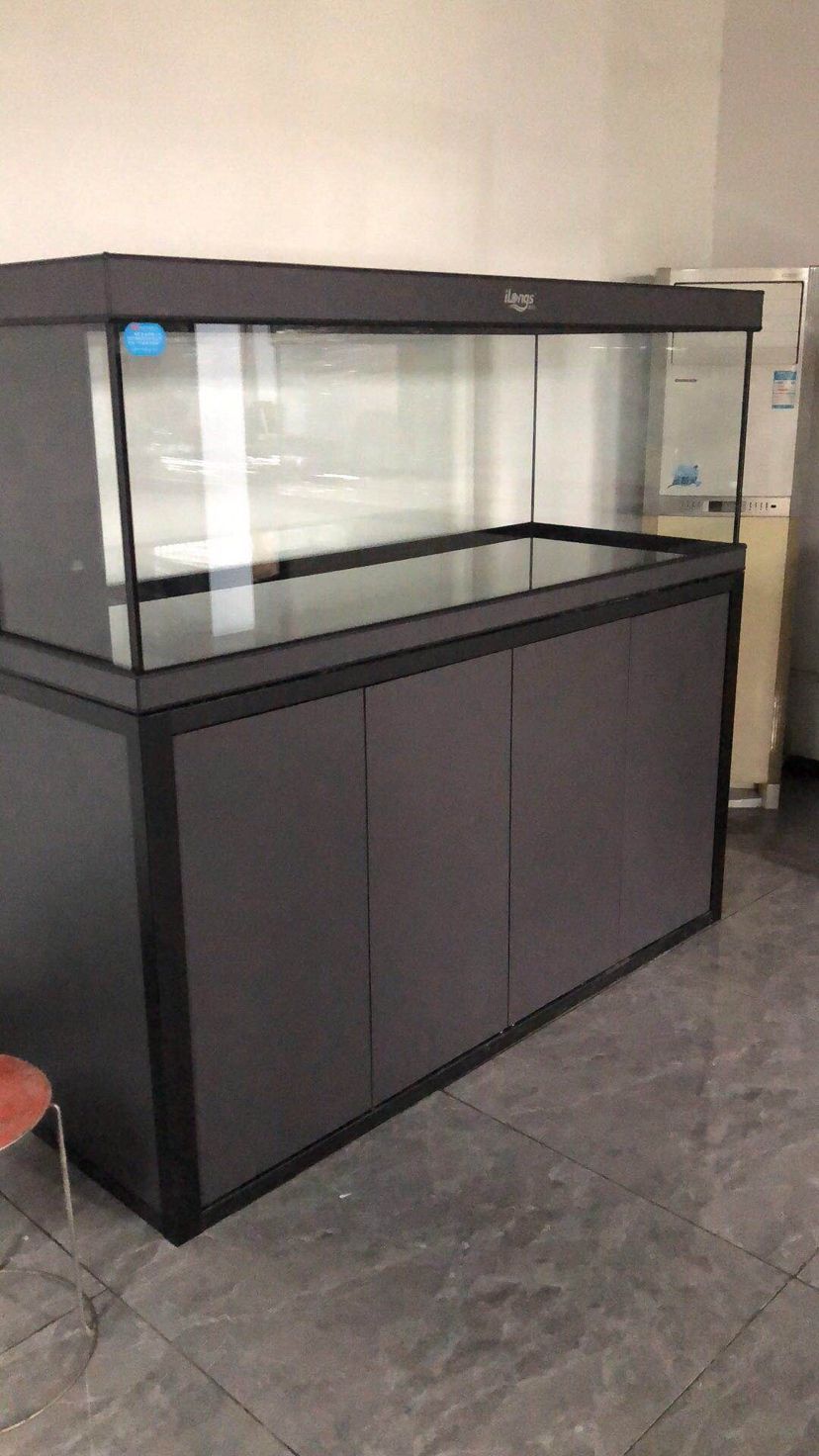 給我推薦一些適合白子龍魚的造景，白子龍魚的造景建議 給我推薦一些適合白子龍魚的造景，白子龍魚的造景建議 龍魚百科 第1張