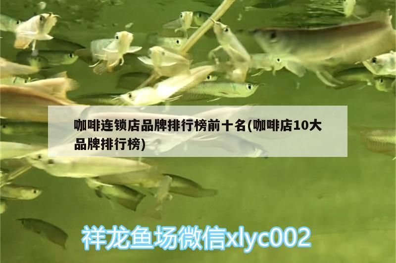 咖啡連鎖店品牌排行榜前十名(咖啡店10大品牌排行榜)