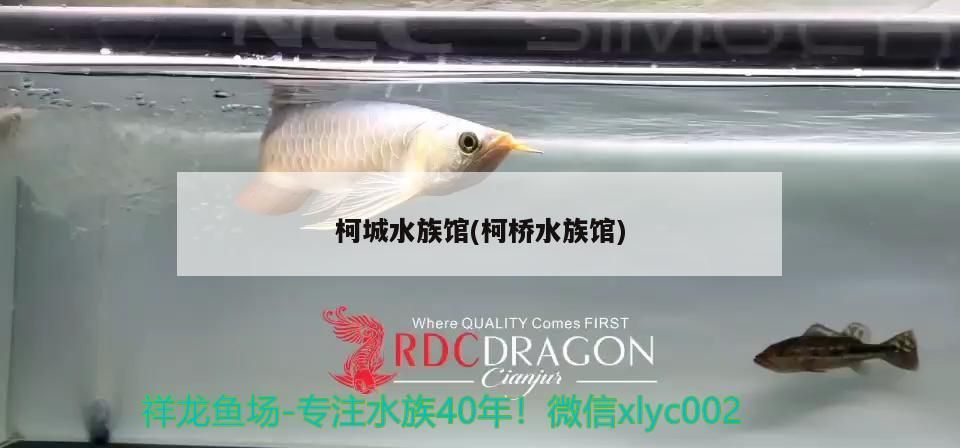 <strong><mark>柯城</mark></strong>水族館(柯橋水族館)