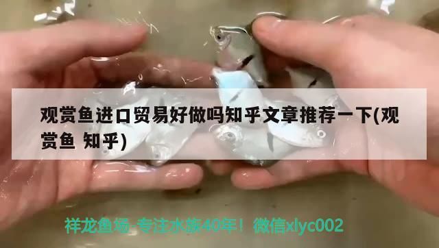白山觀賞魚店地址電話號碼（白山海鮮店電話號碼）