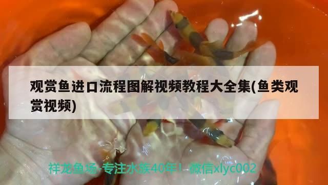 白山觀賞魚店地址電話號碼（白山海鮮店電話號碼）