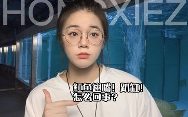 新入缸魟魚翹嘴：新入缸的魟魚翹嘴怎么辦