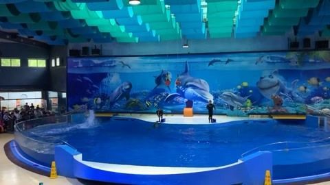 水族館好玩嗎：上海海洋水族館親子活動體驗項目介紹亞特蘭蒂斯水族館