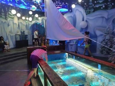 水族館好玩嗎：上海海洋水族館親子活動體驗項目介紹亞特蘭蒂斯水族館