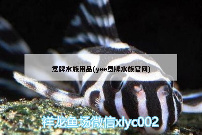 意牌水族用品(yee意牌水族官網)
