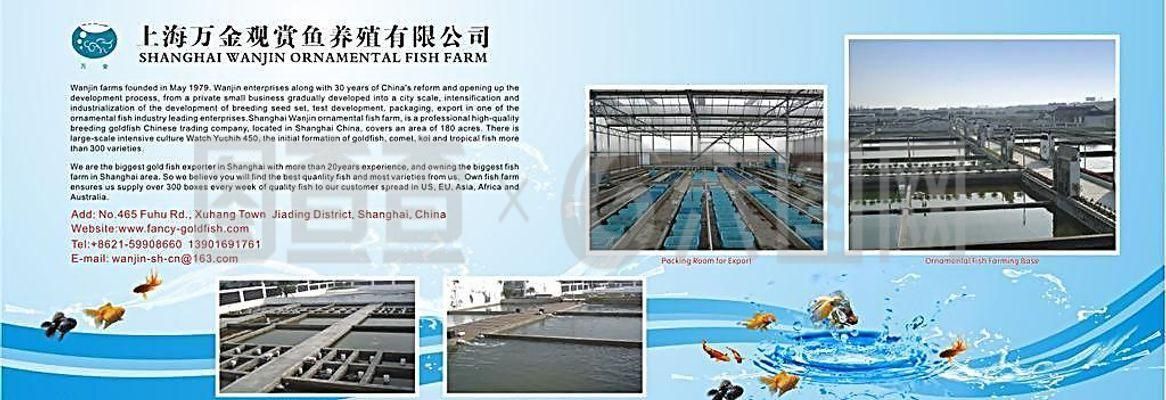 觀賞魚場設(shè)計（關(guān)于觀賞魚場設(shè)計）