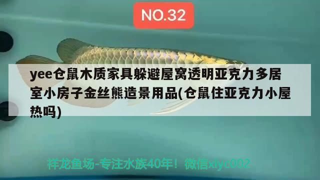 yee倉鼠木質家具躲避屋窩透明亞克力多居室小房子金絲熊造景用品(倉鼠住亞克力小屋熱嗎)
