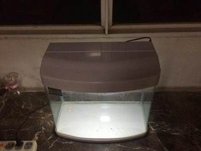 寶來龍魚魚缸（關于寶來龍魚魚缸的一些問題）