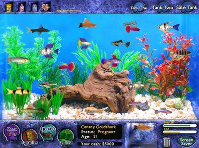 水族館魚缸游戲：水族館樂園魚缸游戲玩法介紹 水族館魚缸游戲：水族館樂園魚缸游戲玩法介紹 水族館百科（水族館加盟） 第3張