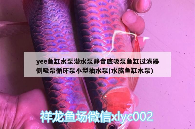 yee魚缸水泵潛水泵靜音底吸泵魚缸過濾器側吸泵循環泵小型抽水泵(水族魚缸水泵)