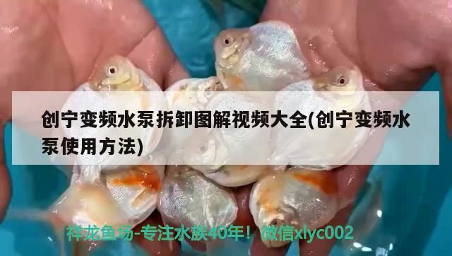 創(chuàng)寧變頻水泵拆卸圖解視頻大全(創(chuàng)寧變頻水泵使用方法)