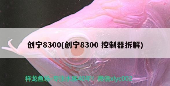 創寧8300(創寧8300控制器拆解)