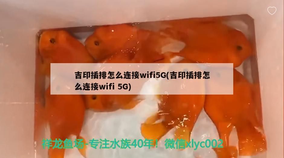 吉印插排怎么連接wifi5G(吉印插排怎么連接wifi5G) 吉印插排怎么連接wifi5G(吉印插排怎么連接wifi5G) 吉印水族