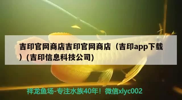 武威魚缸改造廠家地址（ 武威賣魚的店）
