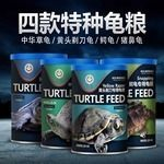豬鼻龜大了還值錢嗎？：豬鼻龜市場價格趨勢分析