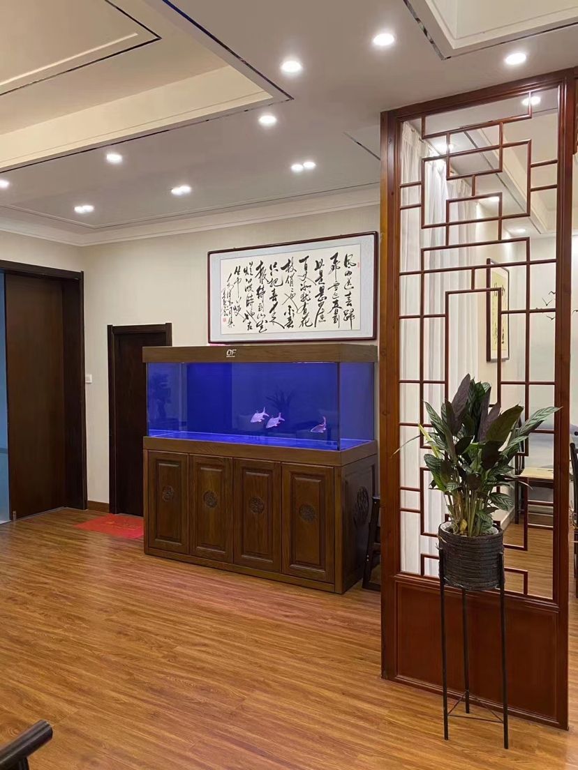 仟湖OF聚龍殿M系列