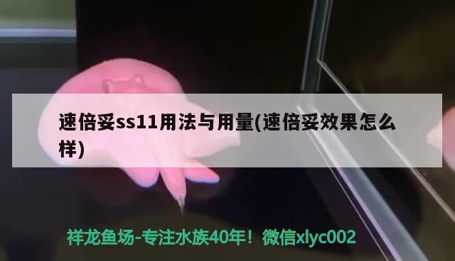 速倍妥ss11用法與用量(速倍妥效果怎么樣)