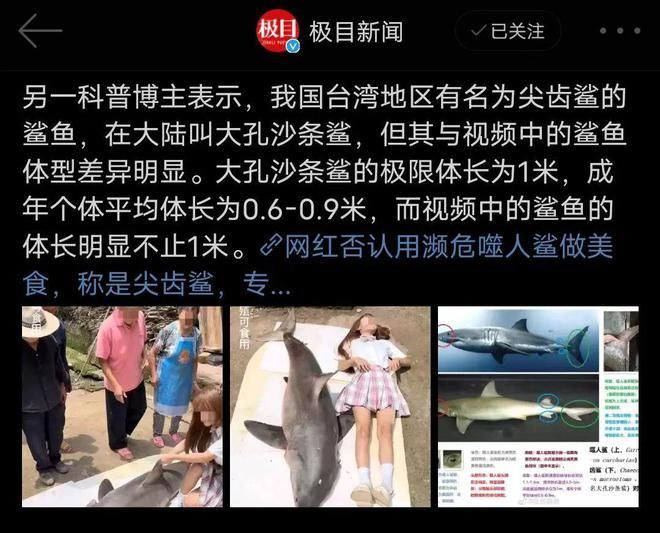 出售各類觀賞魚違法嗎（出售各類觀賞魚并不違法，觀賞魚違規(guī)處罰程度各不相同）