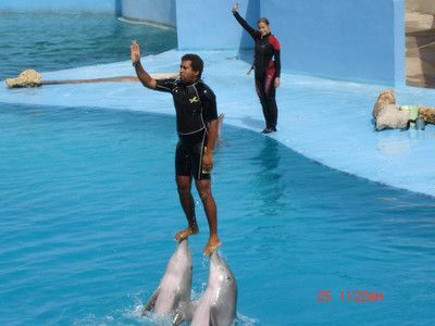 水族館是干什么的什么意思:參觀水族館的環(huán)保意義是什么 水族館百科(水族館加盟) 第4張 水族館是干什么的什么意思:參觀水族館的環(huán)保意義是什么 水族館是干什么的什么意思:參觀水族館的環(huán)保意義是什么 水族館百科(水族館加盟) 第4張