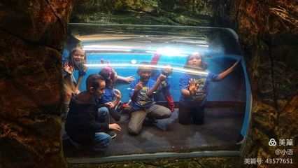水族館是干什么的什么意思:參觀水族館的環(huán)保意義是什么 水族館百科(水族館加盟) 第5張 水族館是干什么的什么意思:參觀水族館的環(huán)保意義是什么 水族館是干什么的什么意思:參觀水族館的環(huán)保意義是什么 水族館百科(水族館加盟) 第5張