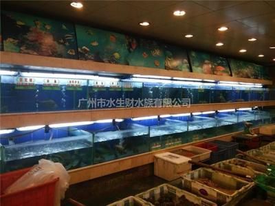 廣州水族批發(fā)市場有哪些魚類品種價格（廣州水族批發(fā)市場魚類價格）
