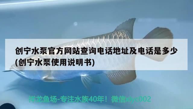 創寧水泵官方網站查詢電話地址及電話是多少(創寧水泵使用說明書)