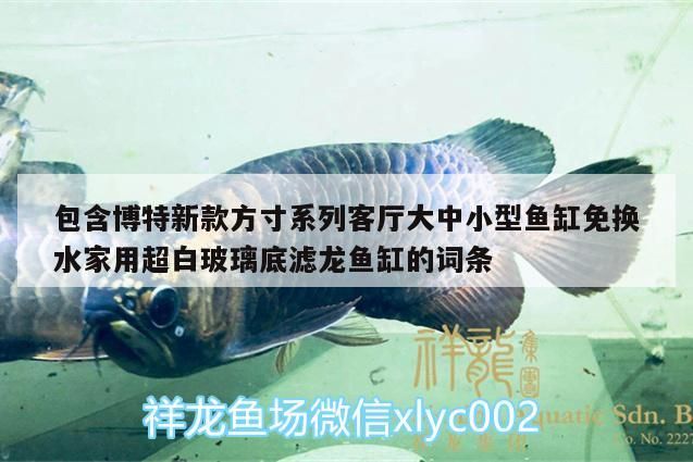 包含博特新款方寸系列客廳大中小型魚缸免換水家用超白玻璃底濾龍魚缸的詞條