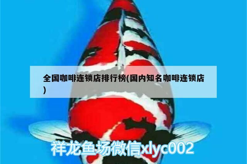 全國咖啡連鎖店排行榜(國內知名咖啡連鎖店)