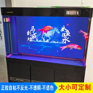 60的魚缸能養幾條金魚：60厘米的魚缸能養幾條金魚