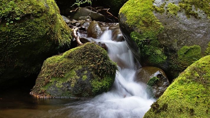 沉木魚缸造景圖片大全欣賞（沉木魚缸造景圖片大全欣賞視頻） 沉木魚缸造景圖片大全欣賞（沉木魚缸造景圖片大全欣賞視頻） 和興紅龍