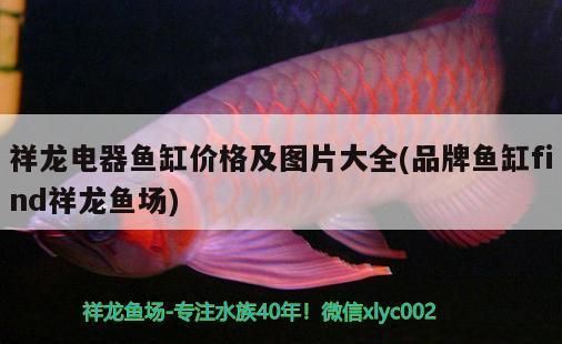 yeeking魚缸（yeeking魚缸說明書）