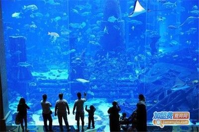 品牌水族館加盟排行：2018水族館加盟品牌排行榜 品牌水族館加盟排行：2018水族館加盟品牌排行榜 水族館百科（水族館加盟） 第2張
