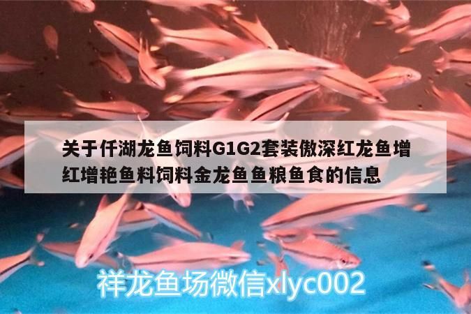 關于仟湖龍魚飼料G1G2套裝傲深紅龍魚增紅增艷魚料飼料金龍魚魚糧魚食的信息