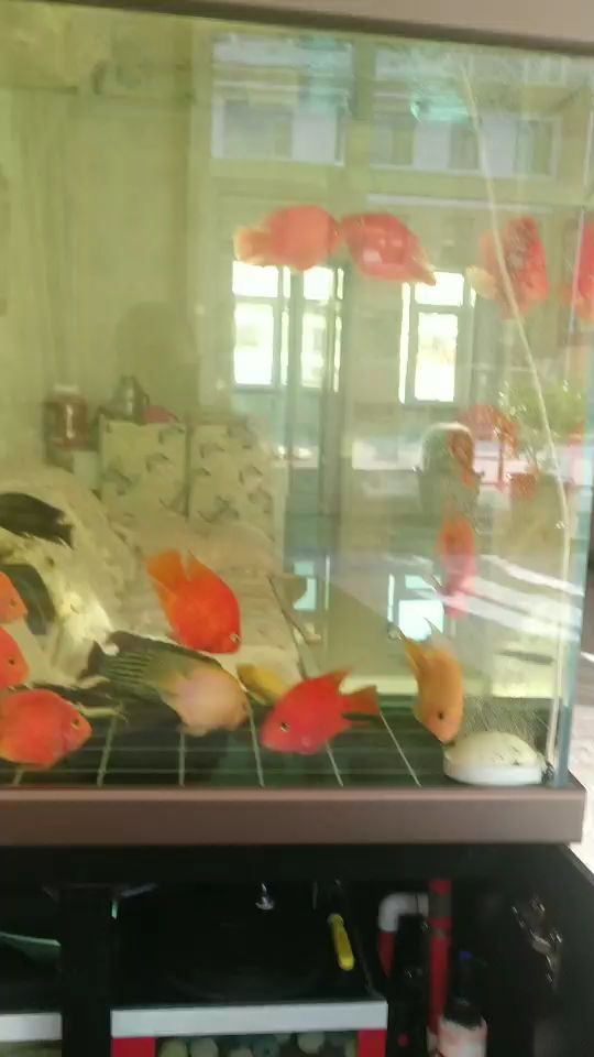 加了二十斤no1奈米球期待效果