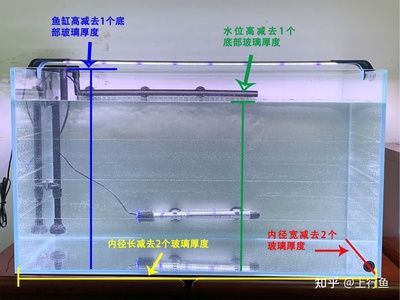 80長的魚缸用多厚的玻璃：80厘米的魚缸用多厚的玻璃？