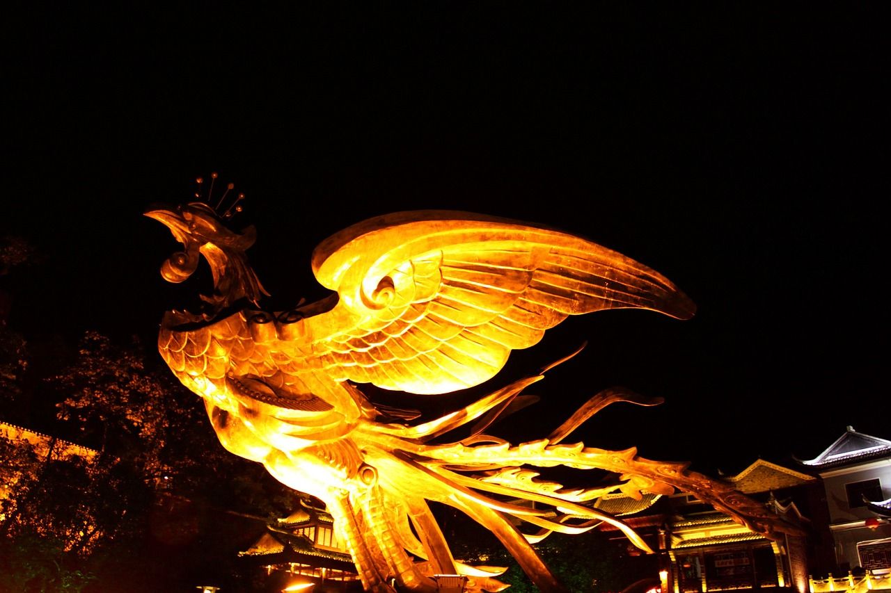 龍魚之家祝大家新年快樂 龍魚之家 第4張 龍魚之家祝大家新年快樂 龍魚之家祝大家新年快樂 龍魚之家 第4張