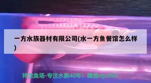一方水族器材有限公司(水一方魚餐館怎么樣)