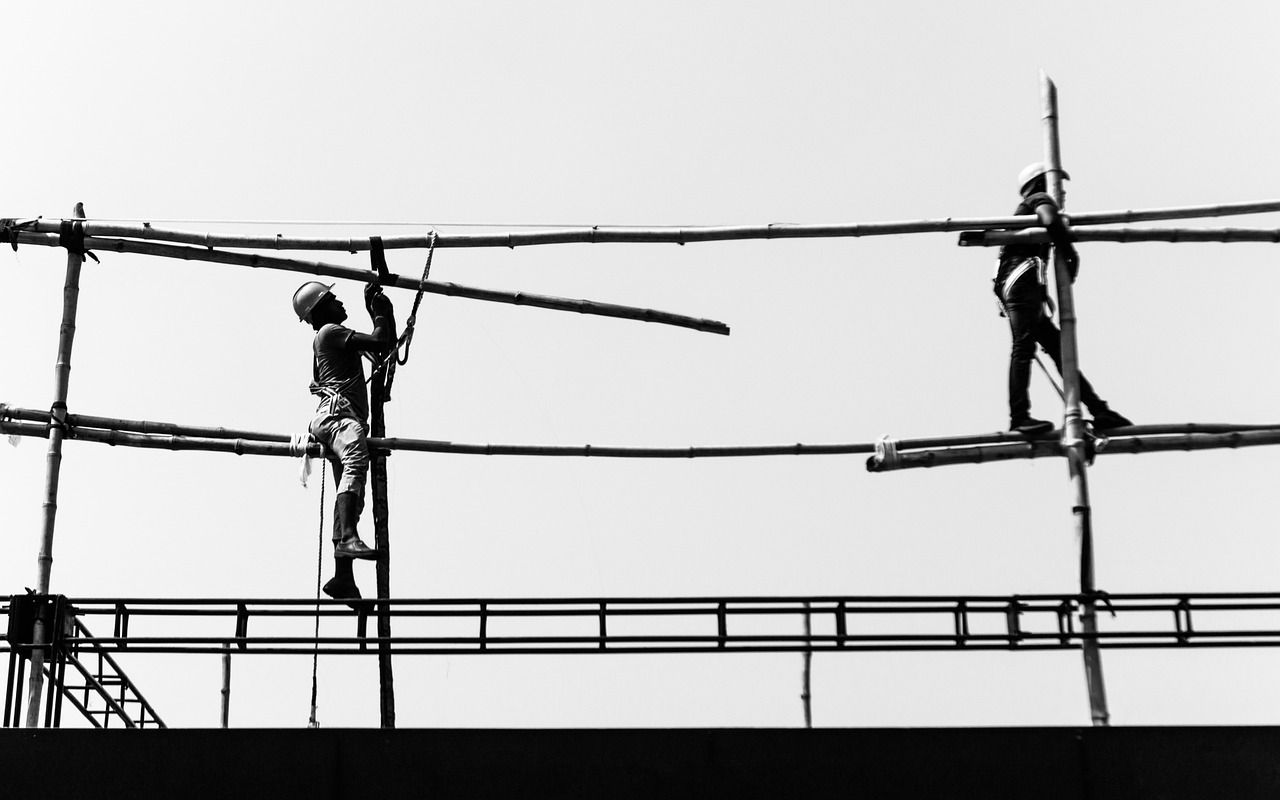 金龍魚可以和招財混養嗎圖片對比（ 金龍魚可以和招財混養嗎圖片對比圖）