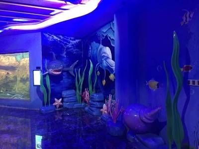 水族館設施(水族館的設施設計與建造) 水族館百科(水族館加盟) 第5張 水族館設施(水族館的設施設計與建造) 水族館設施(水族館的設施設計與建造) 水族館百科(水族館加盟) 第5張