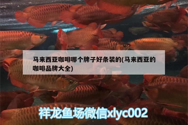馬來西亞咖啡哪個牌子好條裝的(馬來西亞的咖啡品牌大全)