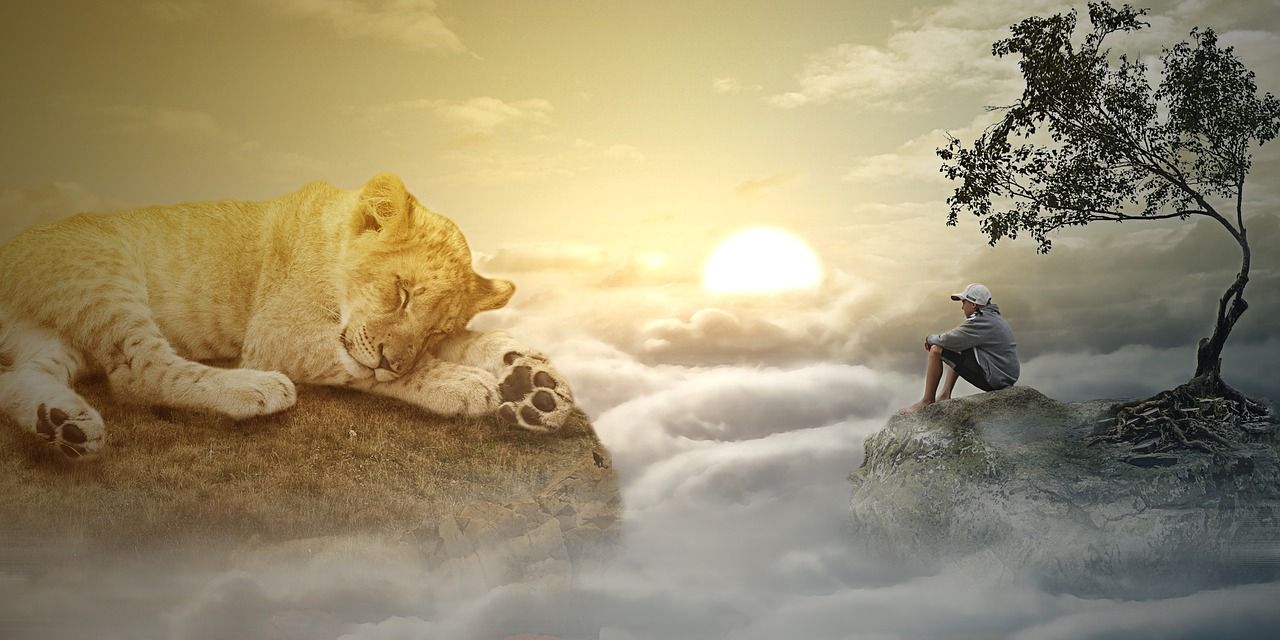 魚缸燈支架自己做安裝（魚缸燈管支架）