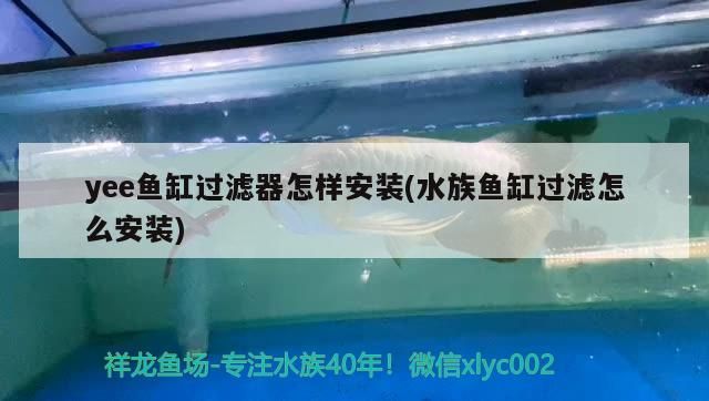 yee魚缸過濾器怎樣安裝(水族魚缸過濾怎么安裝)
