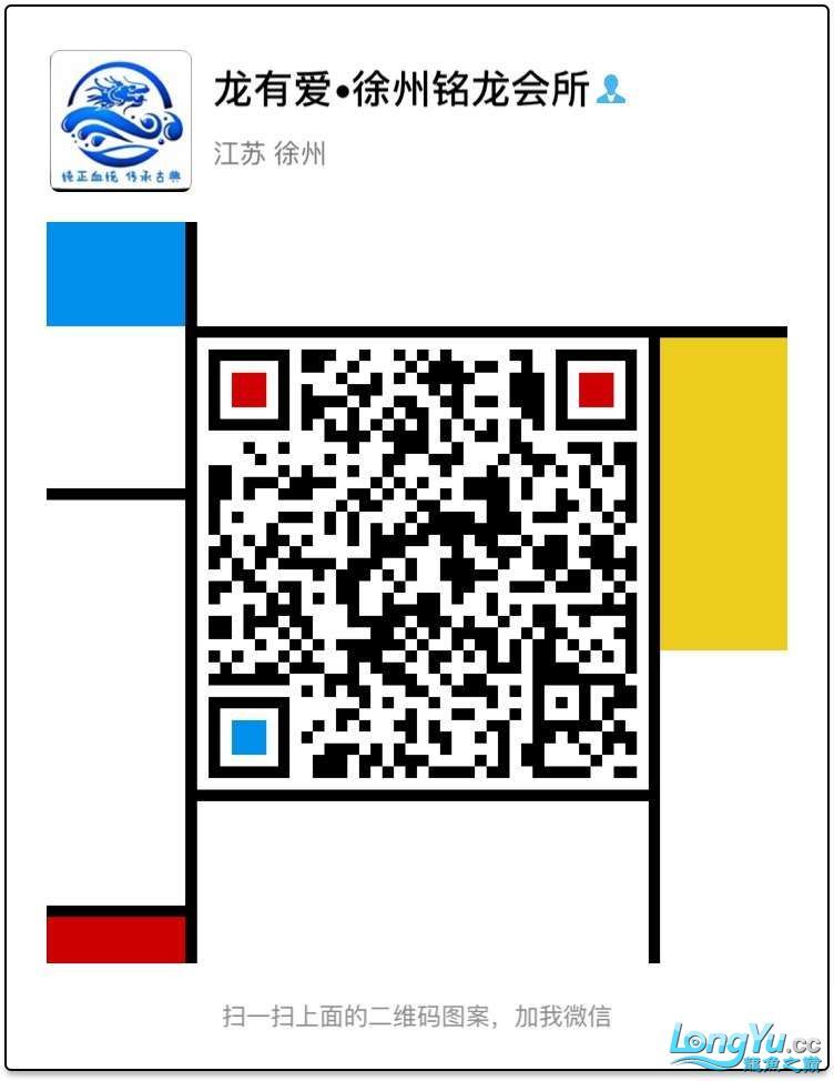 編號:0885李亞四古典金目測35CM+內附