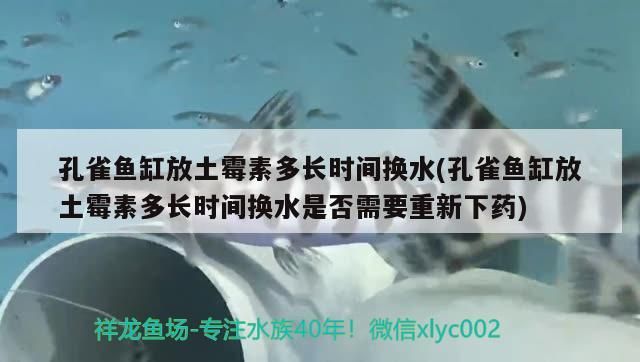 銅川新區哪里有賣魚缸的店子呢 銅川新區哪里有賣魚缸的店子呢多少錢