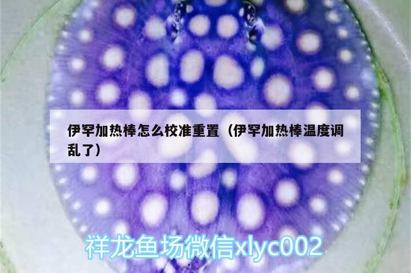 伊罕加熱棒怎么校準重置（伊罕加熱棒溫度調亂了）