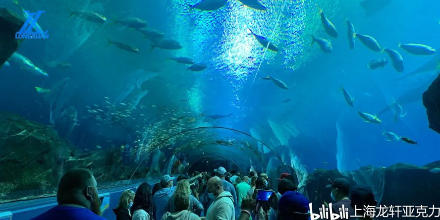 水族館干什么的：水族館是一個多功能的場所