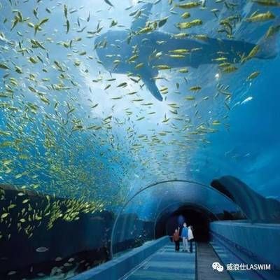 水族館干什么的：水族館是一個多功能的場所