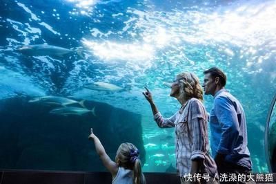 水族館干什么的：水族館是一個多功能的場所